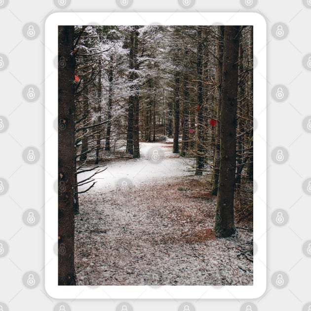 Photo of Mysterious Forest Trail Covered with Snow V2 Sticker by Family journey with God